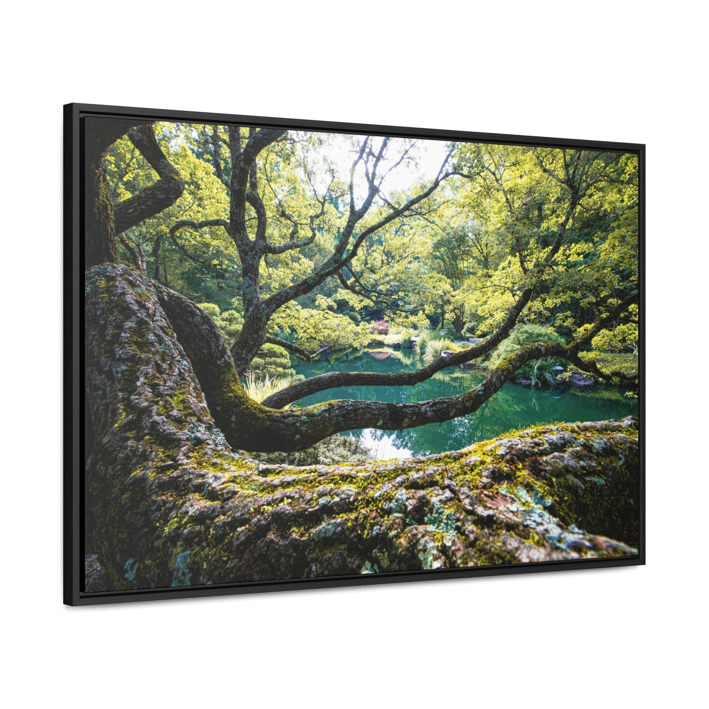 Flowing Tree Branches by a Pond Framed Canvas Art Print