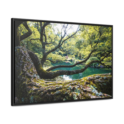 Flowing Tree Branches by a Pond Framed Canvas Art Print