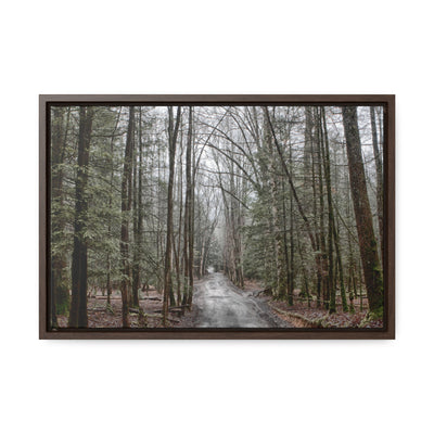 Mountain Road Framed Canvas Art