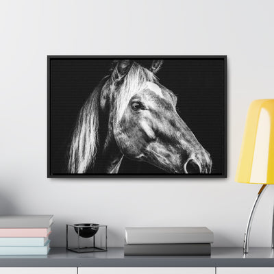 Black and White Horse Art Framed Canvas Print