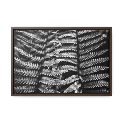 Black and White Fern Framed Canvas Art Print