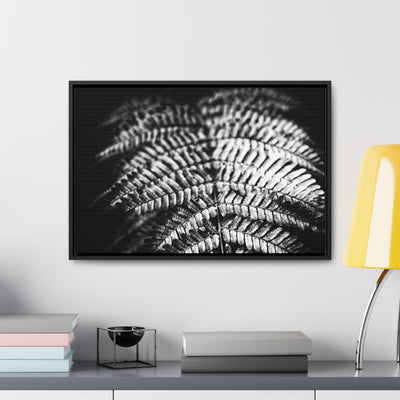 Relaxing Spa Art Black and White Fern Framed Canvas