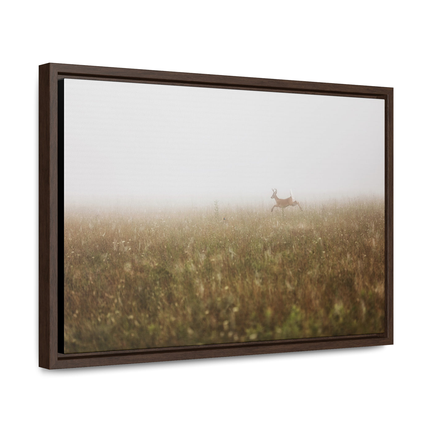 Whitetail Buck Jumping Framed Canvas Art Print