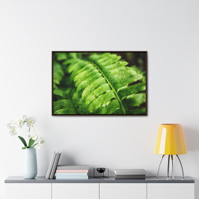 Fern Framed Canvas Calm Artwork