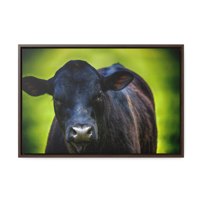 Framed Cow Wall Art