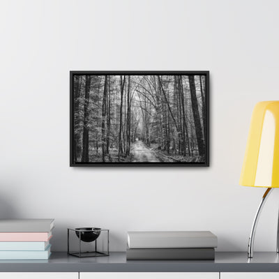 Dirt Road Black and White Framed Canvas Wrap