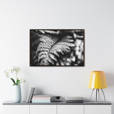 Black and White Fern Framed Canvas Art Prints