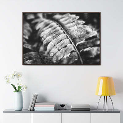 Black and White Fern Framed Canvas Wall Art Print