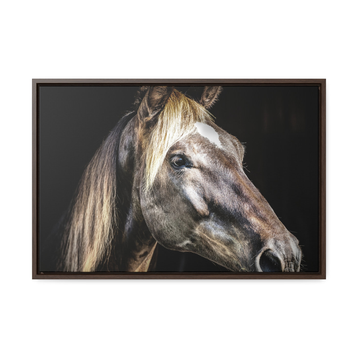 Rustic Horse Framed Canvas Art Print