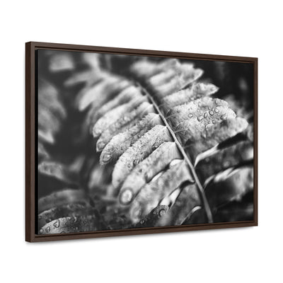 Black and White Fern Framed Canvas Wall Art Print