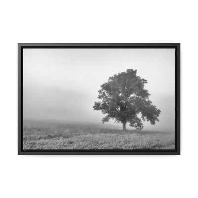 Tree in a Foggy Field Black and White Framed Canvas Print