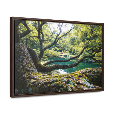 Flowing Tree Branches by a Pond Framed Canvas Art Print