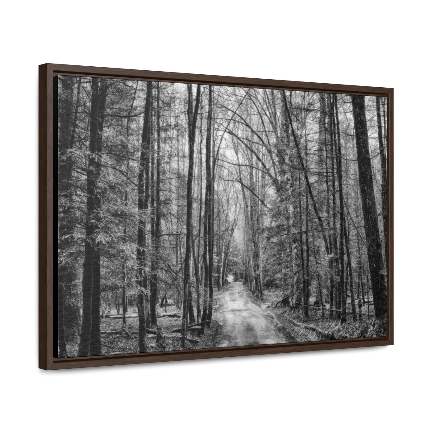 Dirt Road Black and White Art Print