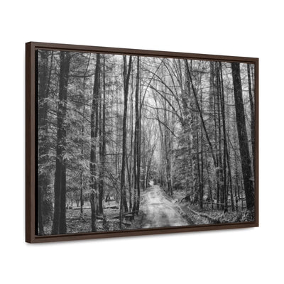 Dirt Road Black and White Framed Canvas Wrap