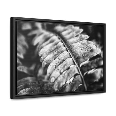 Black and White Fern Framed Canvas Wall Art Print