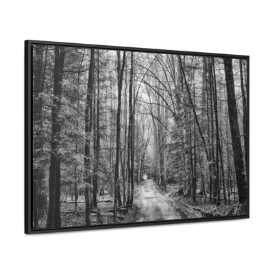 Dirt Road Black and White Framed Canvas Wrap