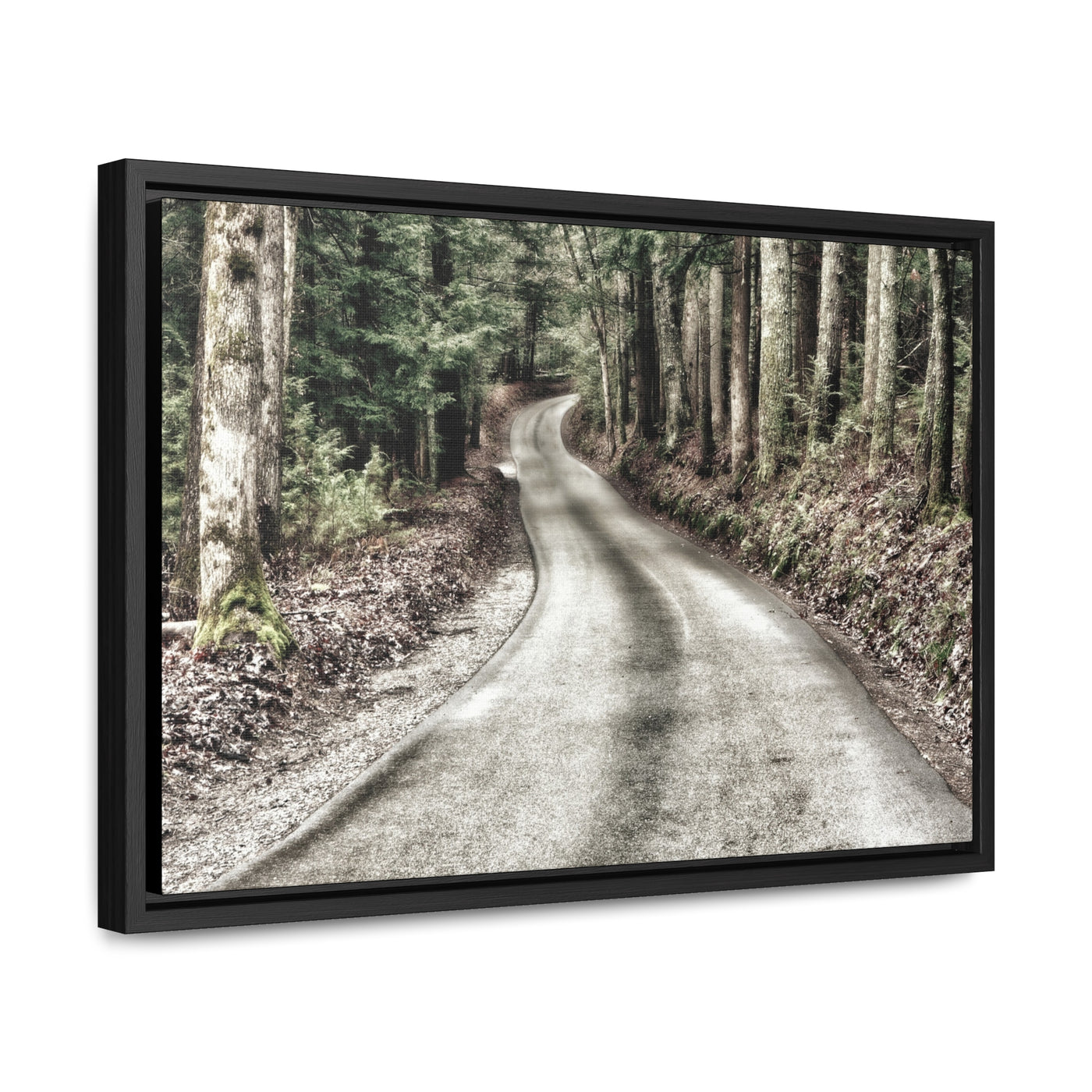 Rustic Mountain Road Framed Canvas Art Print