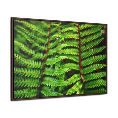 Beautiful Fern Framed Canvas Wall Art