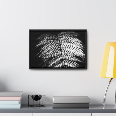 Relaxing Spa Art Black and White Fern Framed Canvas