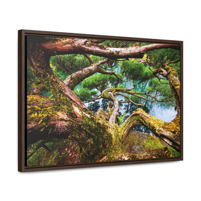 Tree by a Pond Rustic Farmhouse Decor Framed Canvas Art Print