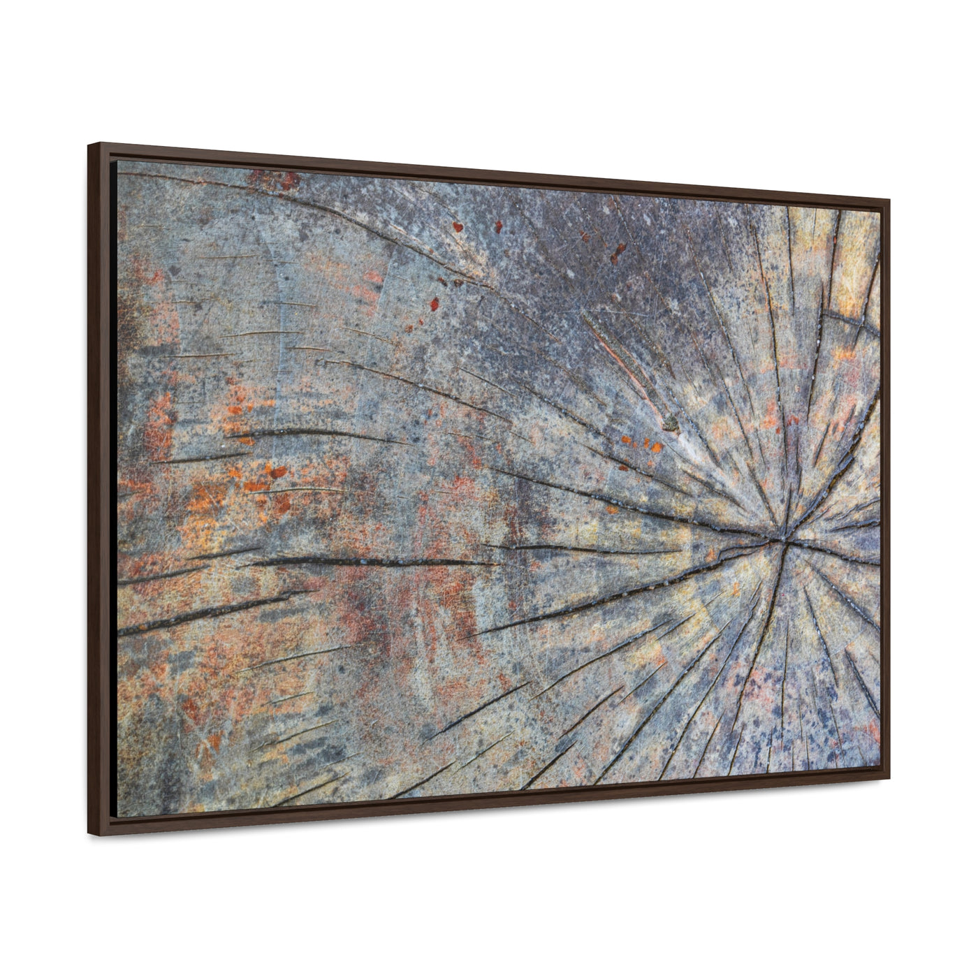 Tree Stump Rings Framed Canvas Rustic Art Print