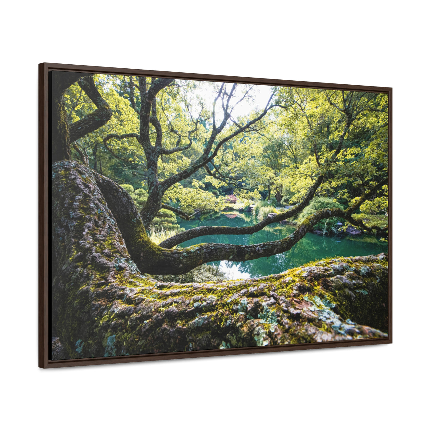 Flowing Tree Branches by a Pond Framed Canvas Art Print