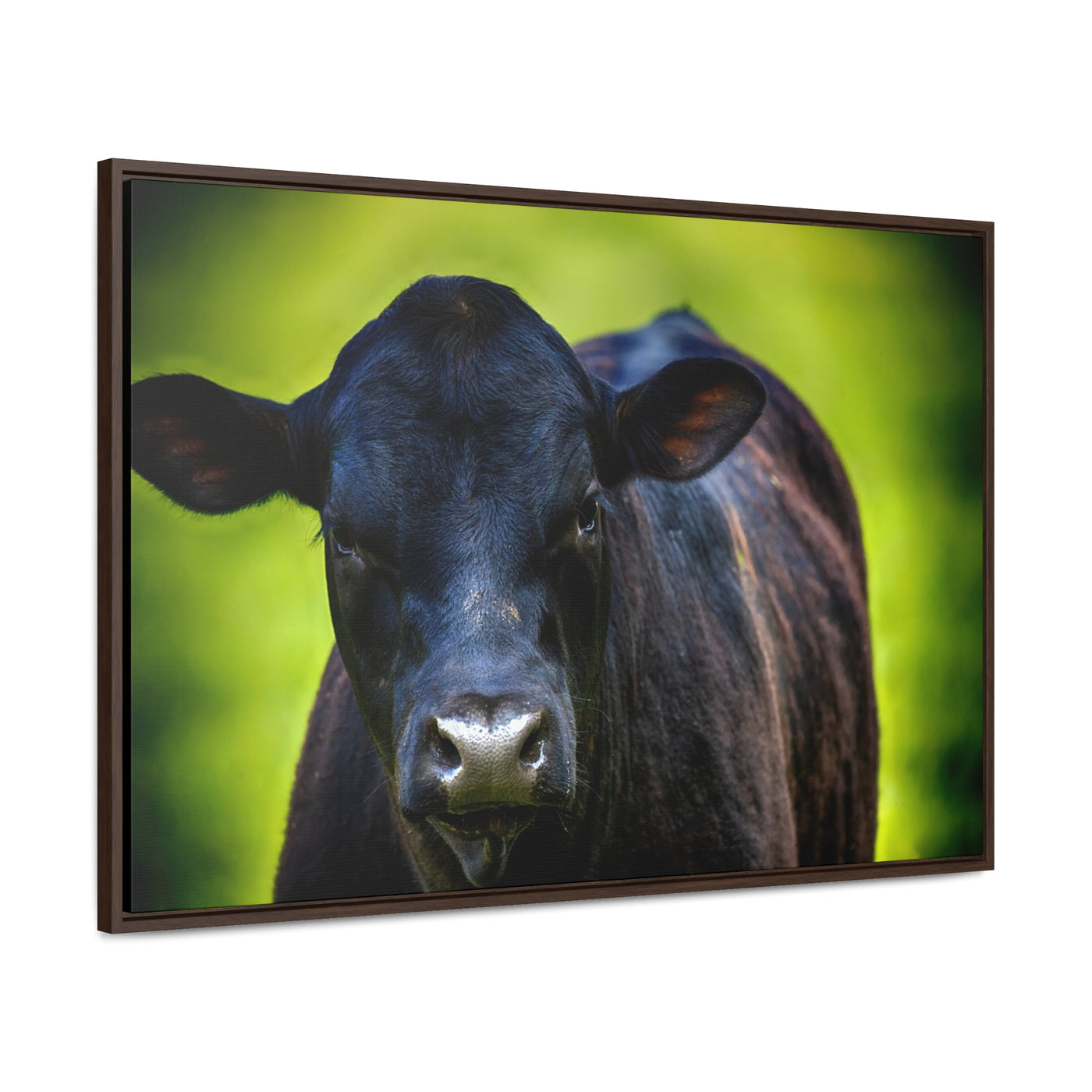 Framed Cow Wall Art