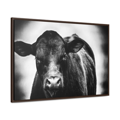 Black and White Cow Art Framed Canvas Wrap