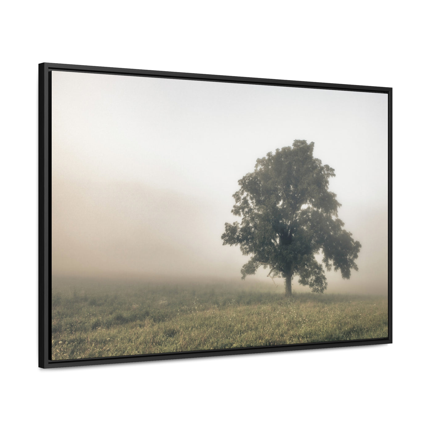 Tree in a Field Framed Canvas Wall Art Print