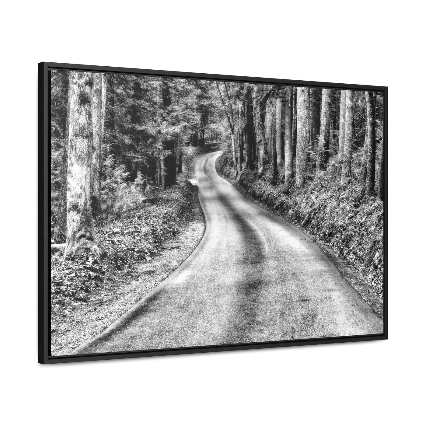 Black and White Mountain Road Art Print