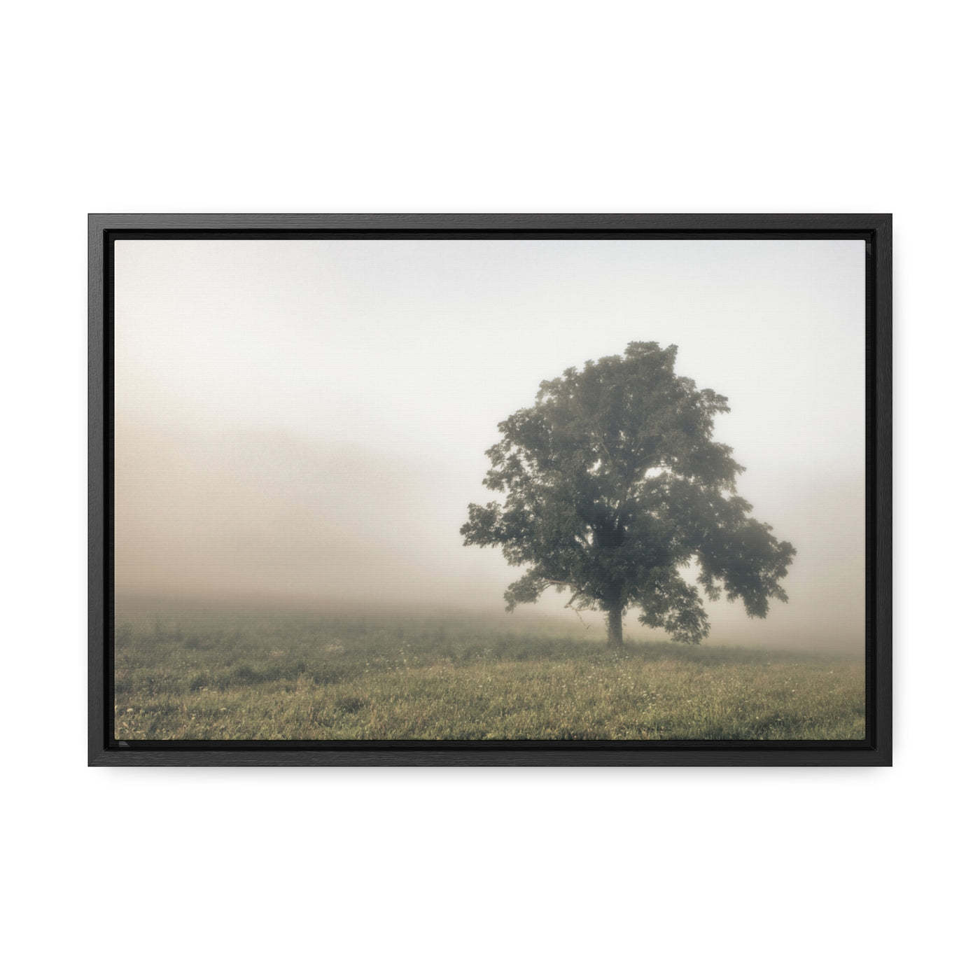 Tree in a Field Framed Canvas Wall Art Print