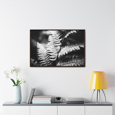 Black and White Ferns Framed Canvas Calming Art Print