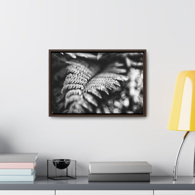 Black and White Fern Framed Canvas Art Prints