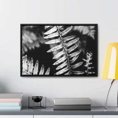 Calming Artwork - Black and White Fern Framed Canvas Art Print