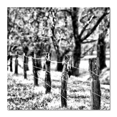 Black and White Fence Artwork