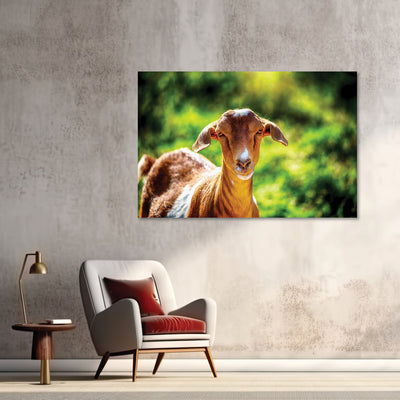 Goat Farm Animal Art Print