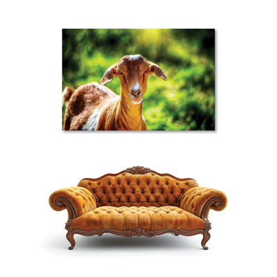 Goat Farm Animal Art Print