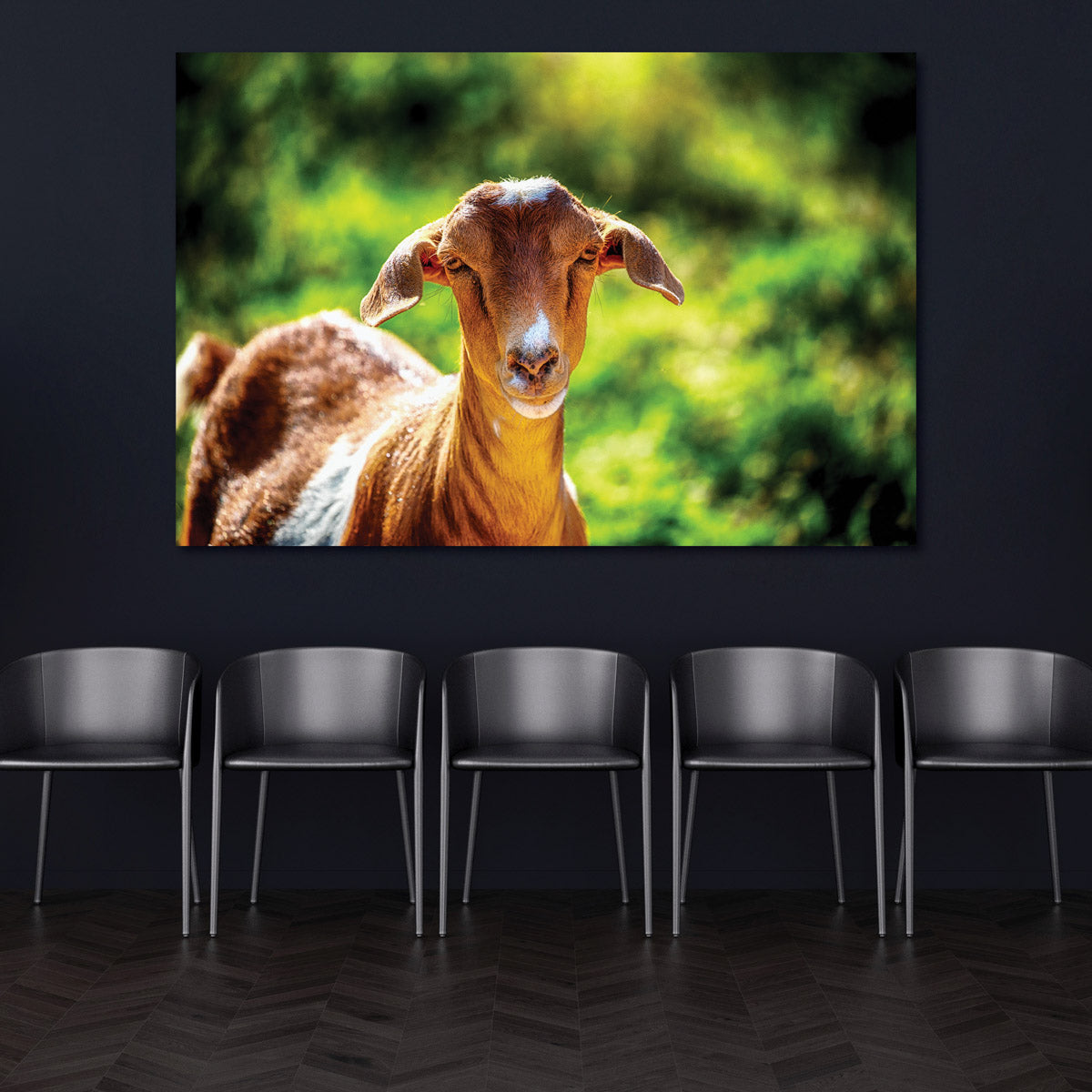 Goat Farm Animal Art Print