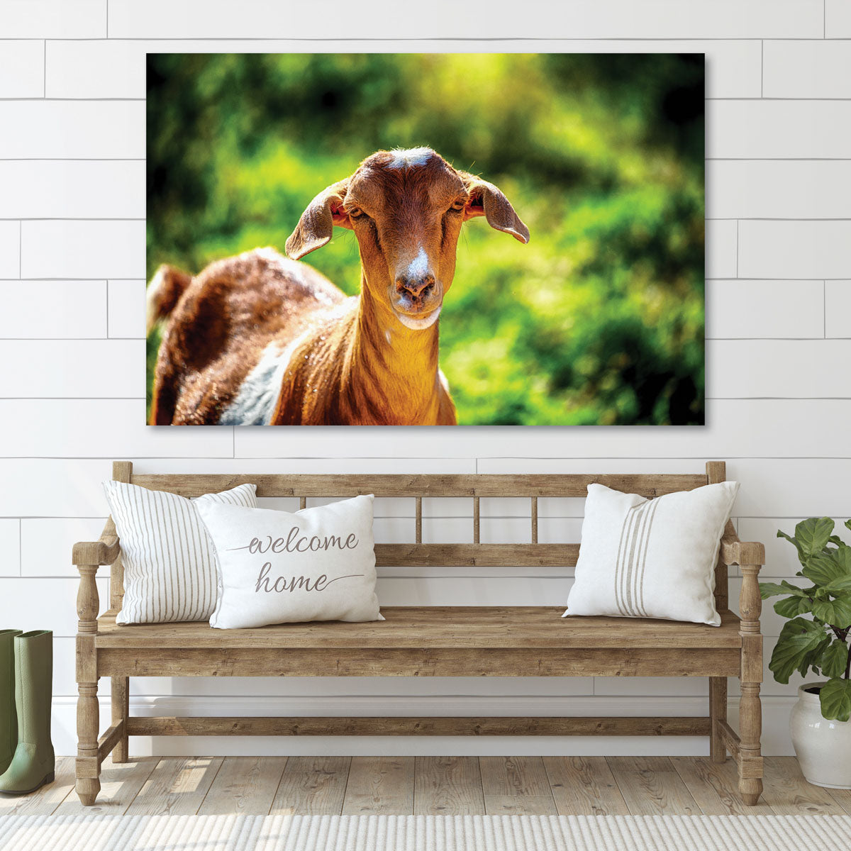 Goat Farm Animal Art Print