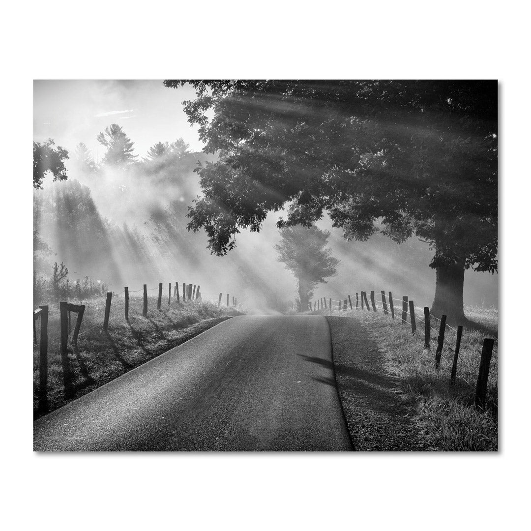 Early Morning Country Road Black and White Art Print