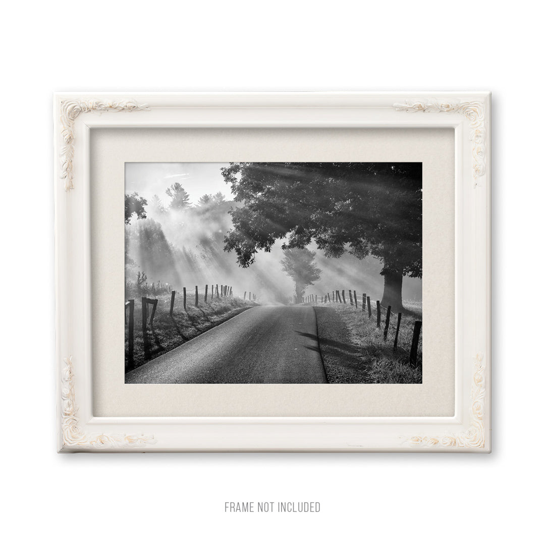 Early Morning Country Road Black and White Art Print