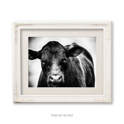 Rural Farmhouse Black and White Cow Art