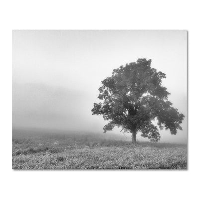 Foggy Rural Tree Black and White Art