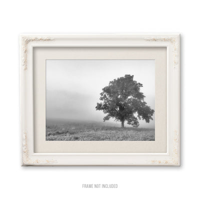 Foggy Rural Tree Black and White Art