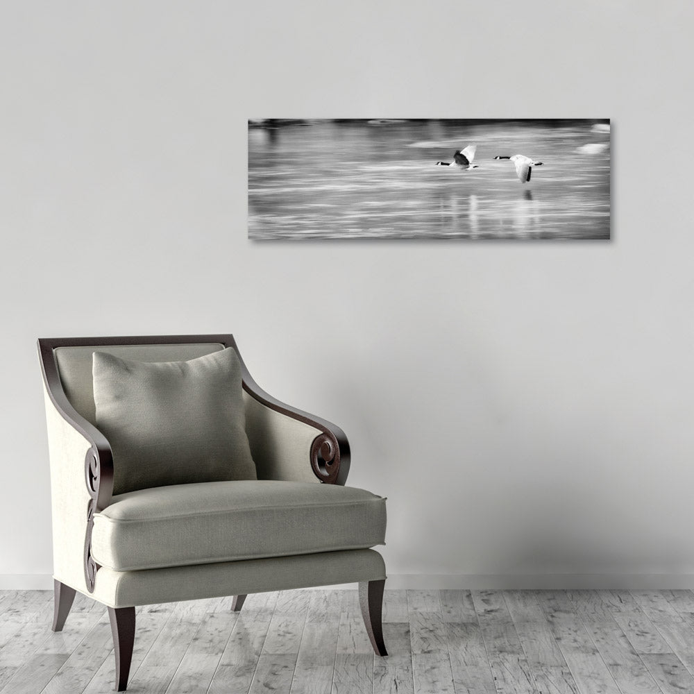 Black and White Canadian Geese Flying Artwork