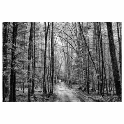 Dirt Road Black and White Art Print
