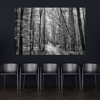 Dirt Road Black and White Art Print