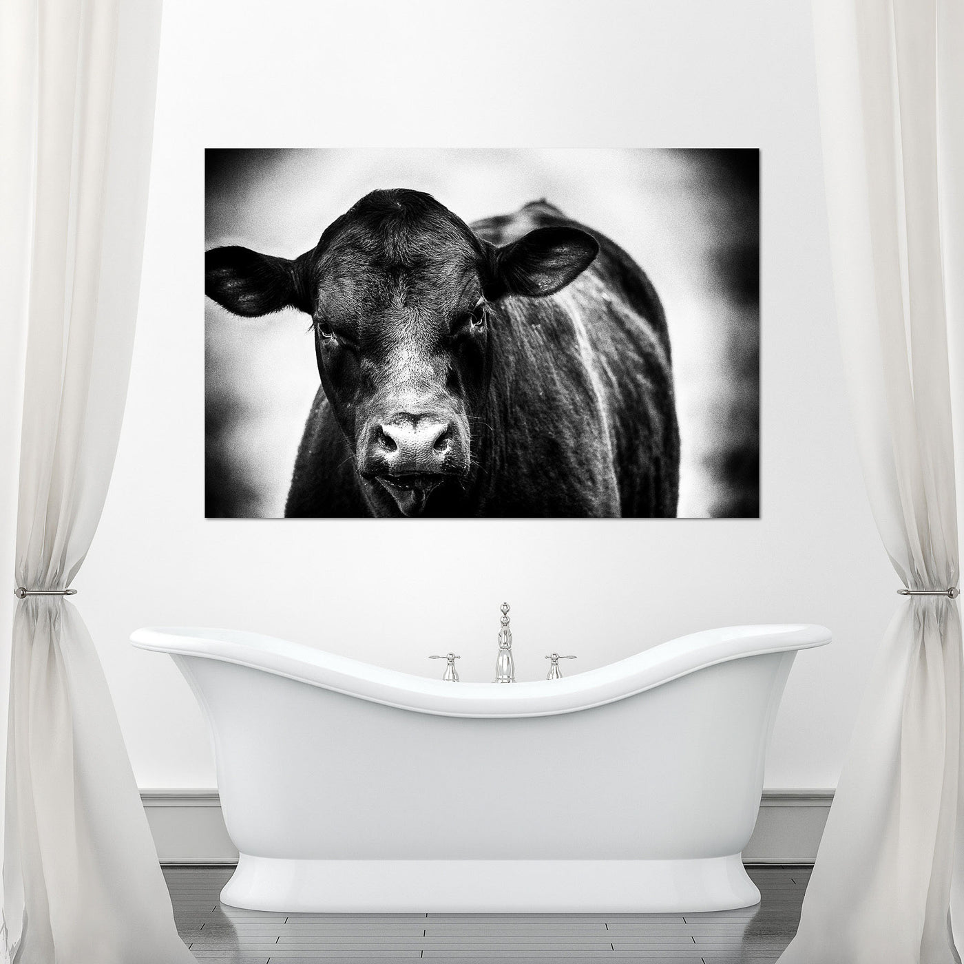 Black and White Cow Art