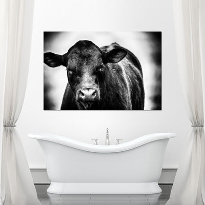 Black and White Cow Art