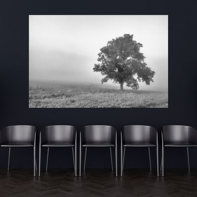 Tree in a Foggy Field Black and White Print